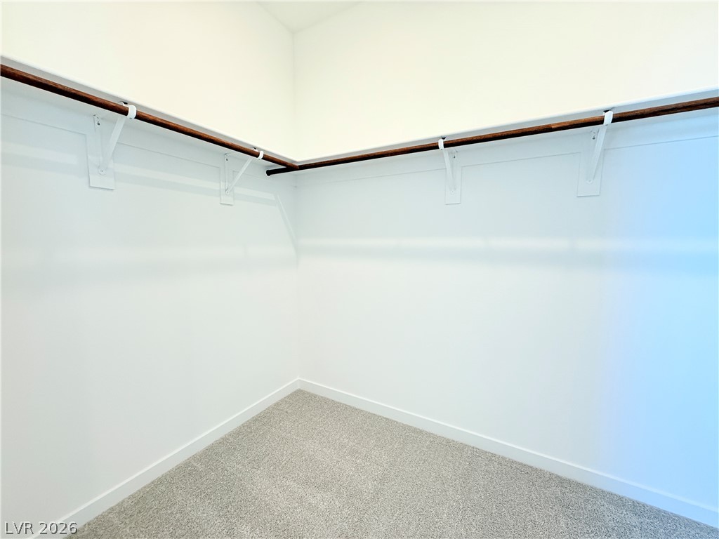 1450 Great Snipe Avenue Property Photo 15