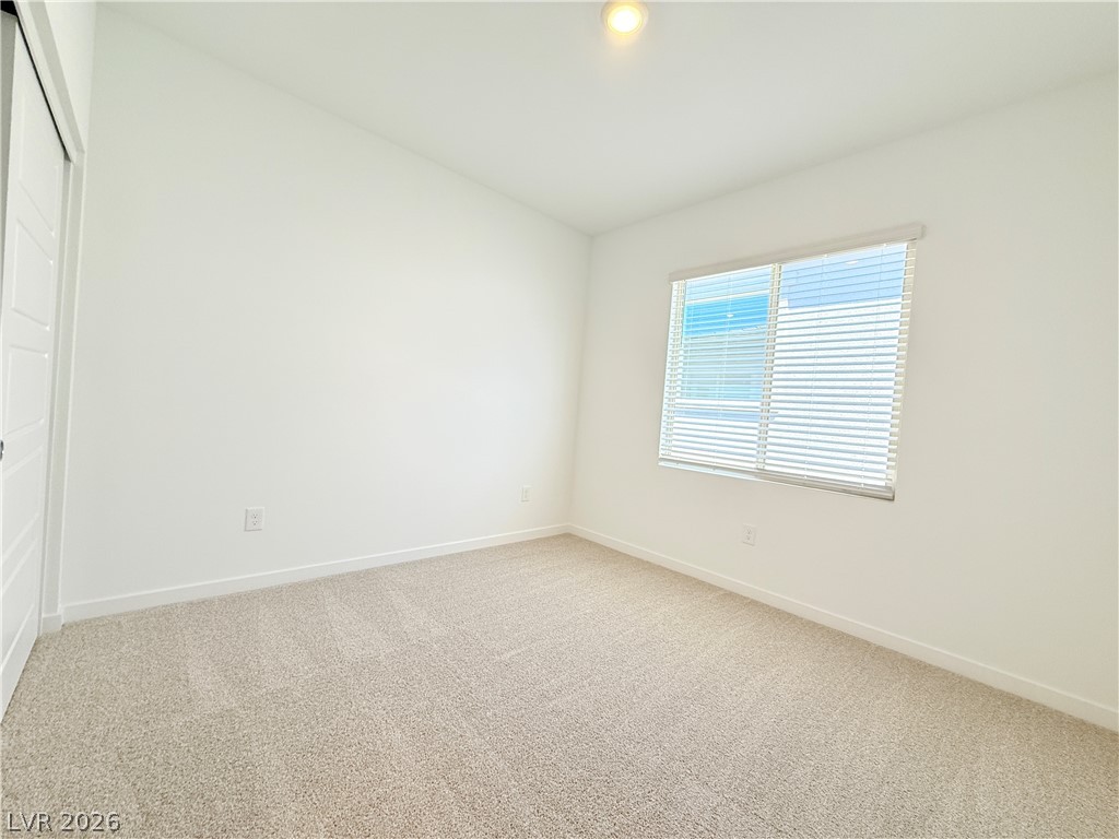 1450 Great Snipe Avenue Property Photo 23