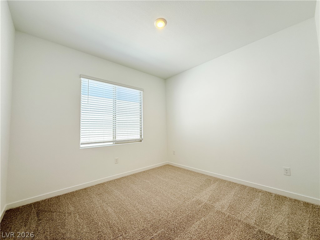 1450 Great Snipe Avenue Property Photo 24