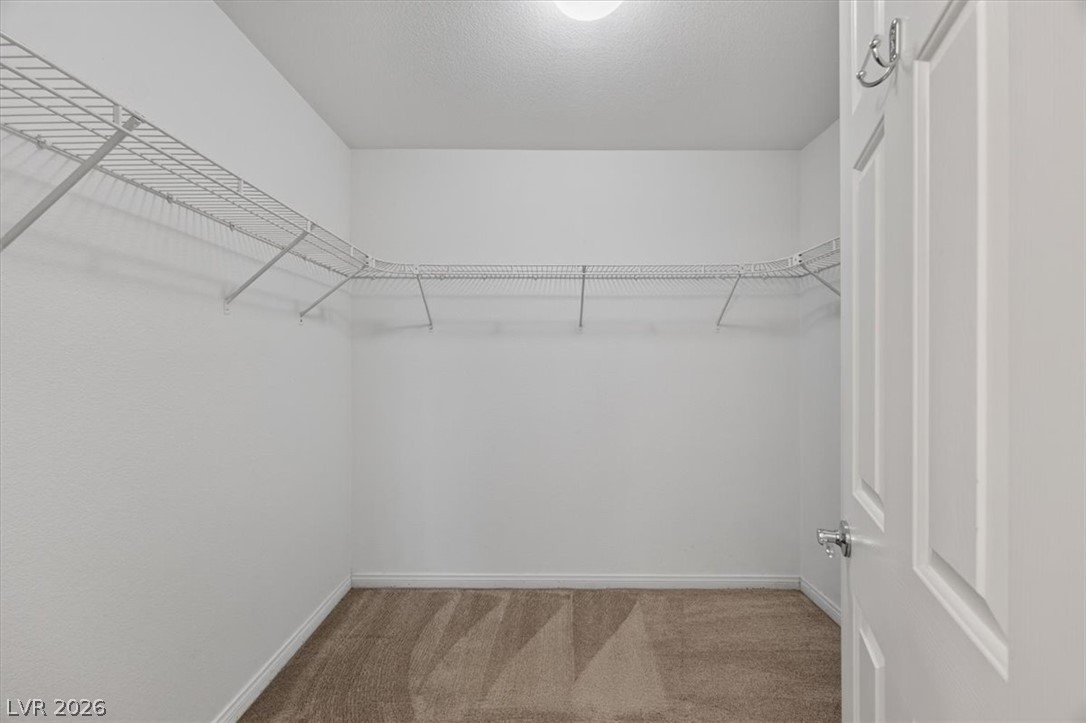 5534 Believe Court Property Photo 26