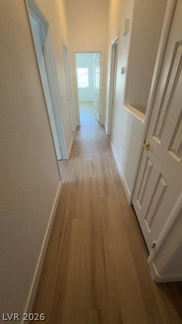 2795712 Property Photo 25