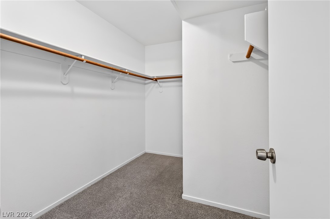 224 Star Cluster Circle Property Photo 24