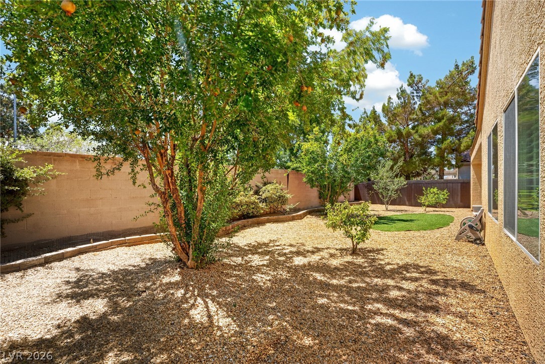 2517 Black River Falls Drive Property Photo 35