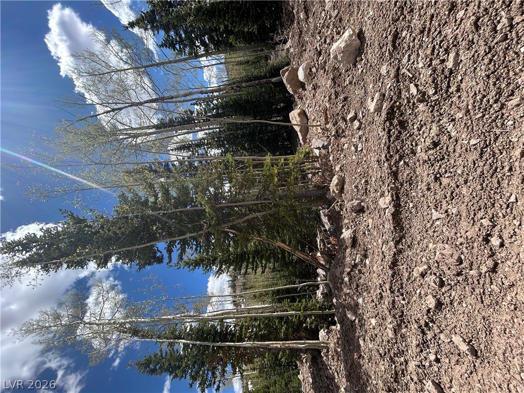 314 East Toboggan Circle Property Photo 6