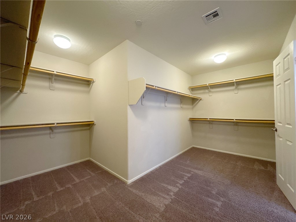 6132 Scarlet Leaf Street Property Photo 28