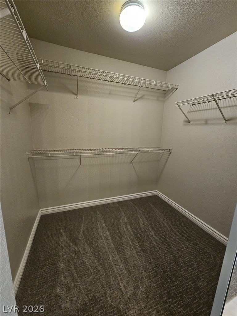 1513 Calle Montery Street Property Photo 18