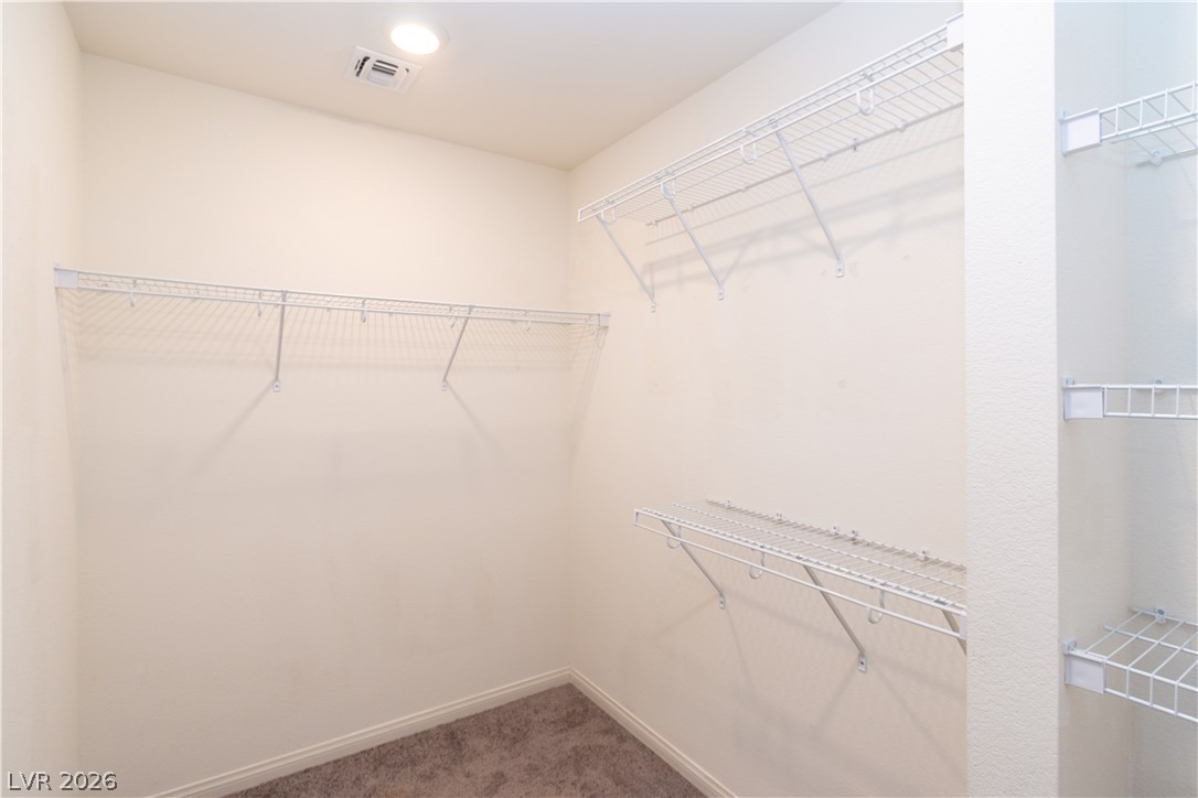 9769 Cannington Cliffs Avenue Property Photo 16