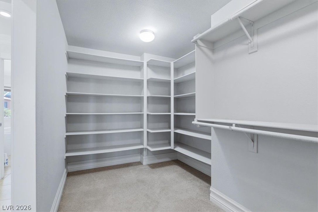 9409 Arcadia Woods Court Property Photo 29