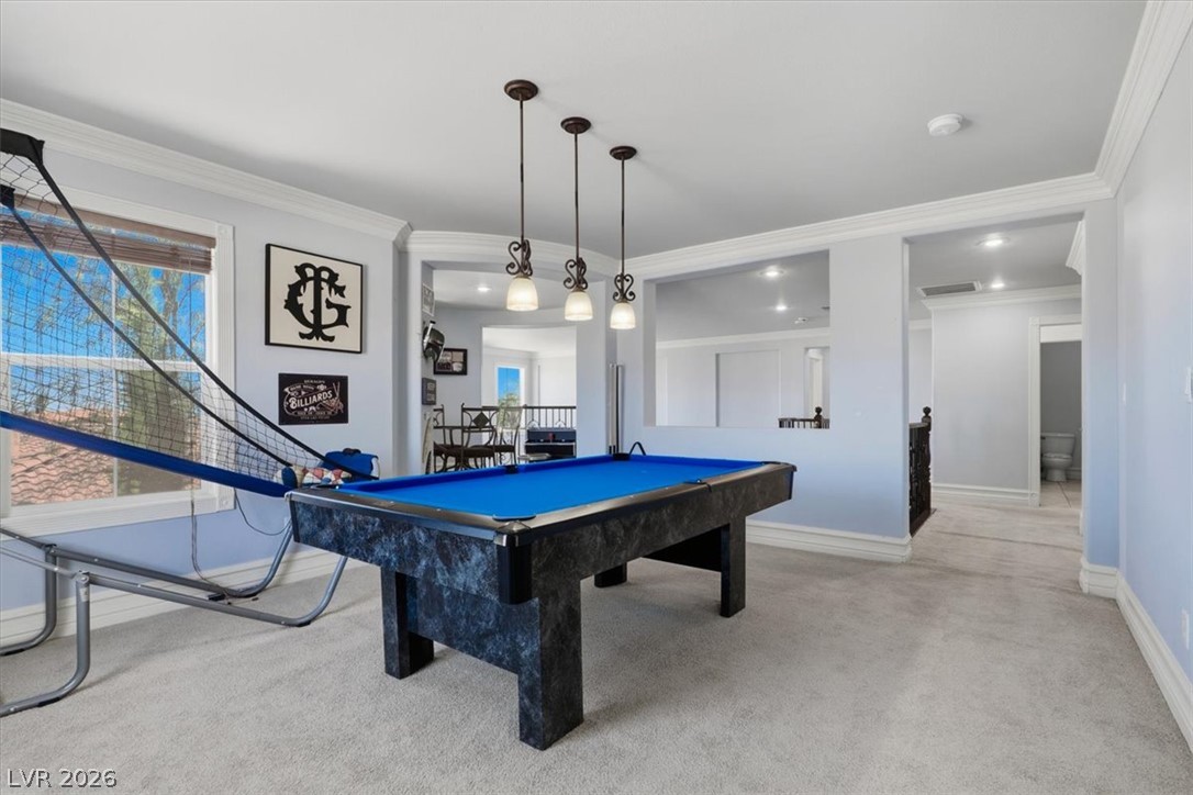 9409 Arcadia Woods Court Property Photo 42