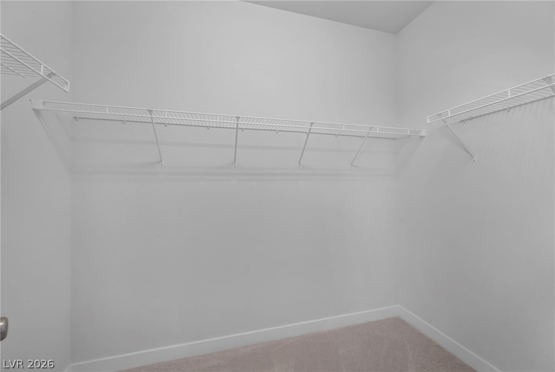 3208 Brescia Bank Avenue Property Photo 39