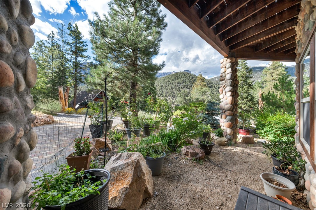 4137 Matterhorn Way Property Photo 10