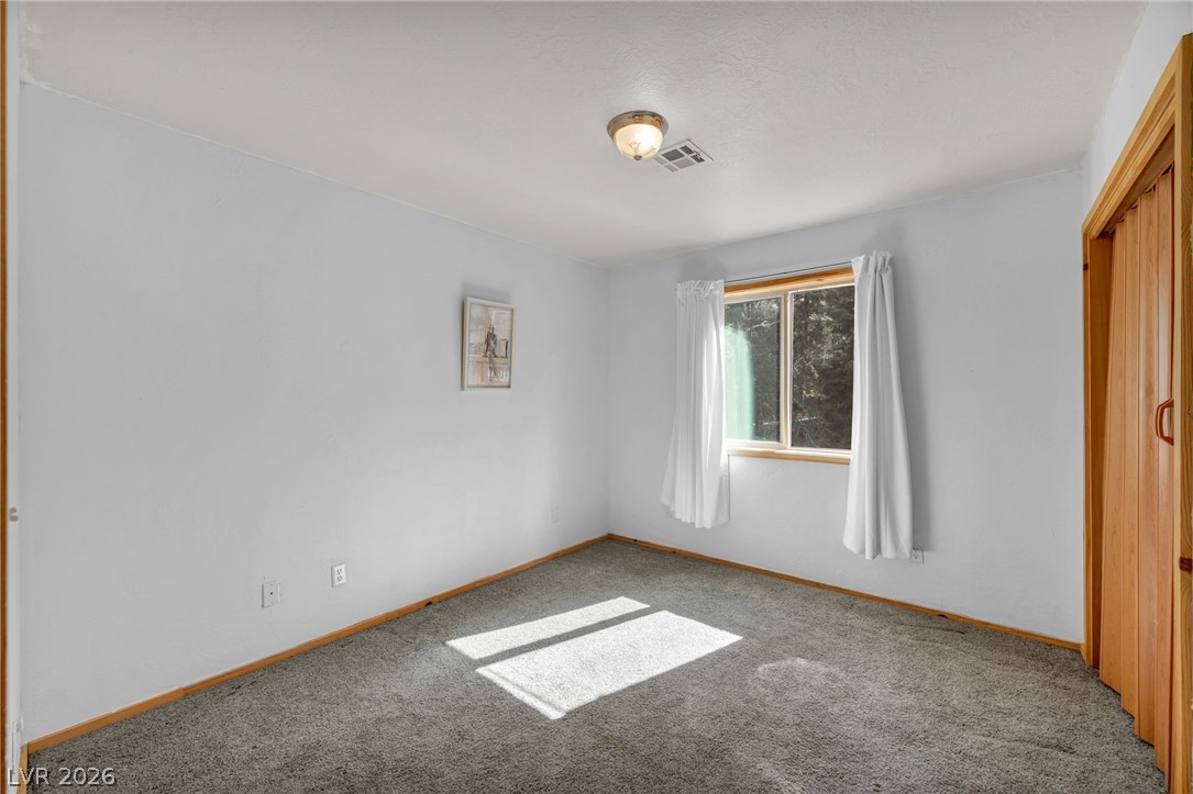 4137 Matterhorn Way Property Photo 43