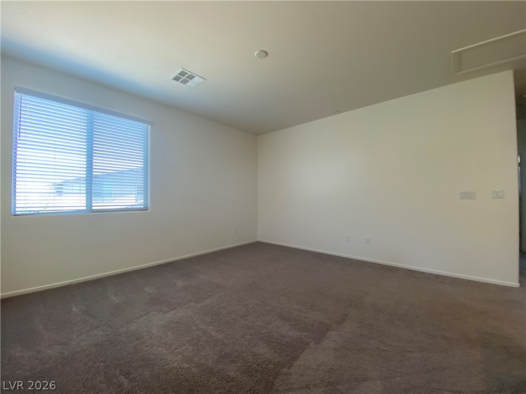 436 Cadence View Way Property Photo 18