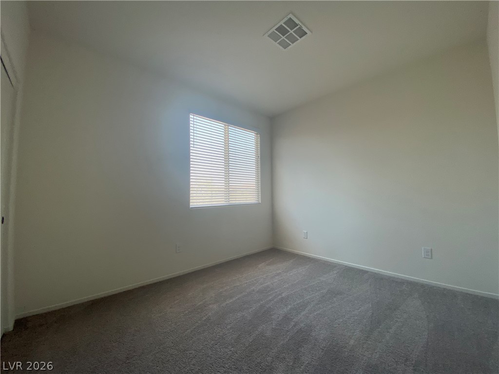 436 Cadence View Way Property Photo 19