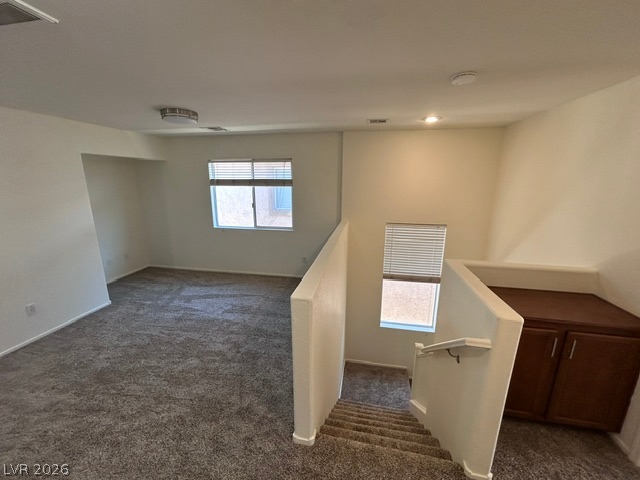 1015 Appaloosa Hills Avenue Property Photo 11