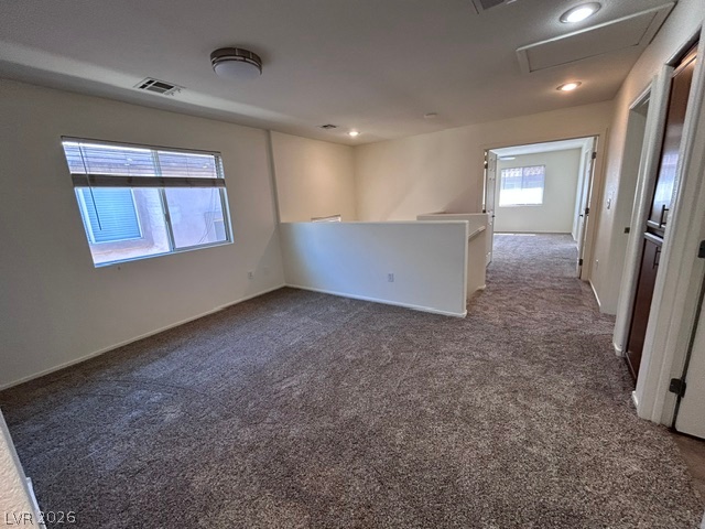 1015 Appaloosa Hills Avenue Property Photo 18
