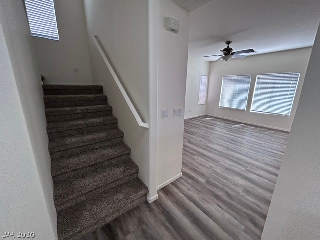 1015 Appaloosa Hills Avenue Property Photo 24