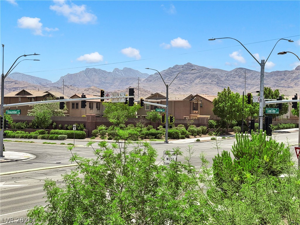 10691 Sariah Skye Avenue Property Photo 43