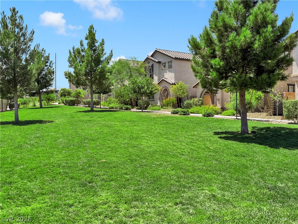 10691 Sariah Skye Avenue Property Photo 46