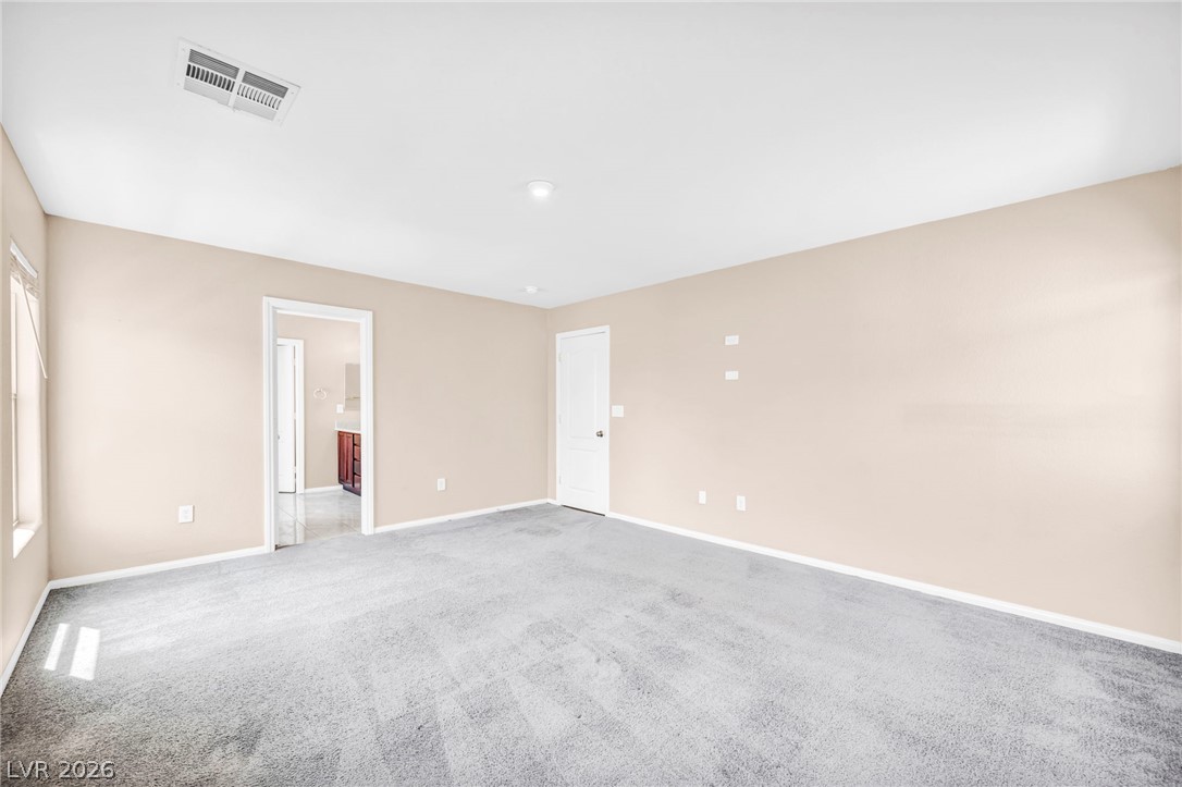 313 Snow Dome Avenue Property Photo 16