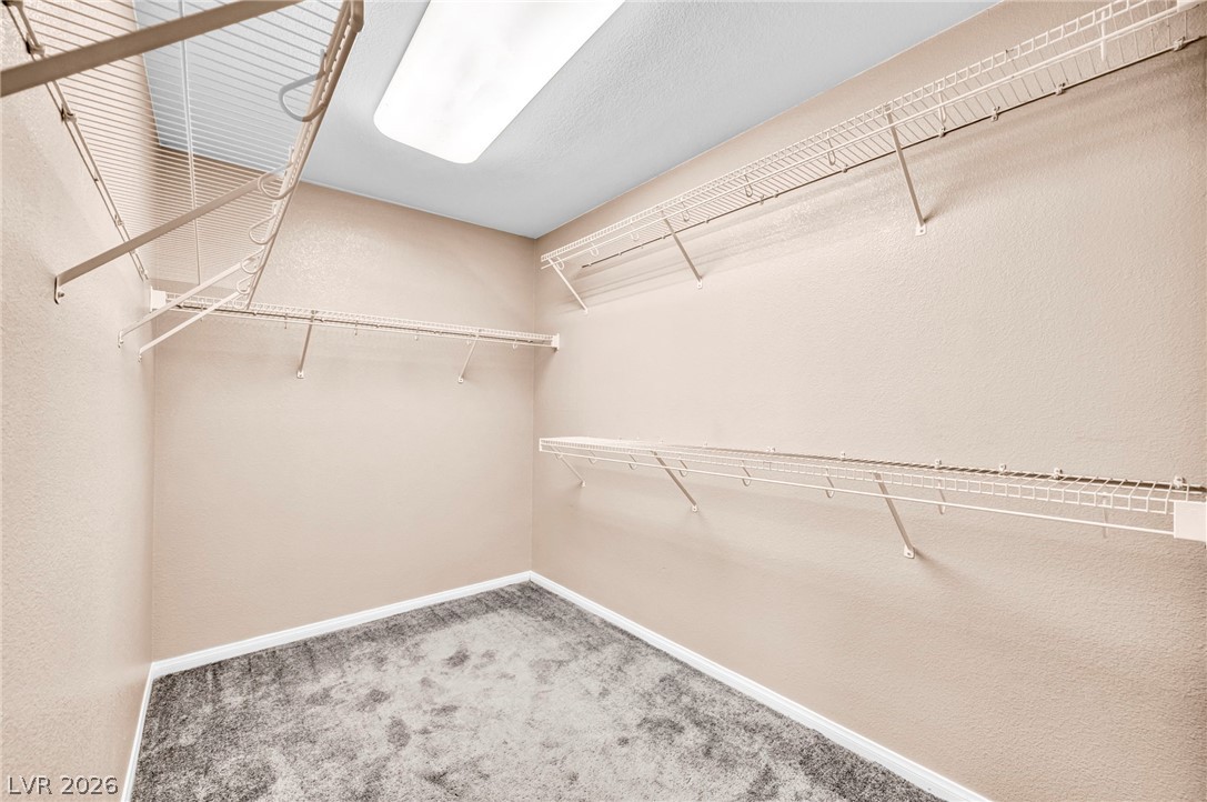 313 Snow Dome Avenue Property Photo 20
