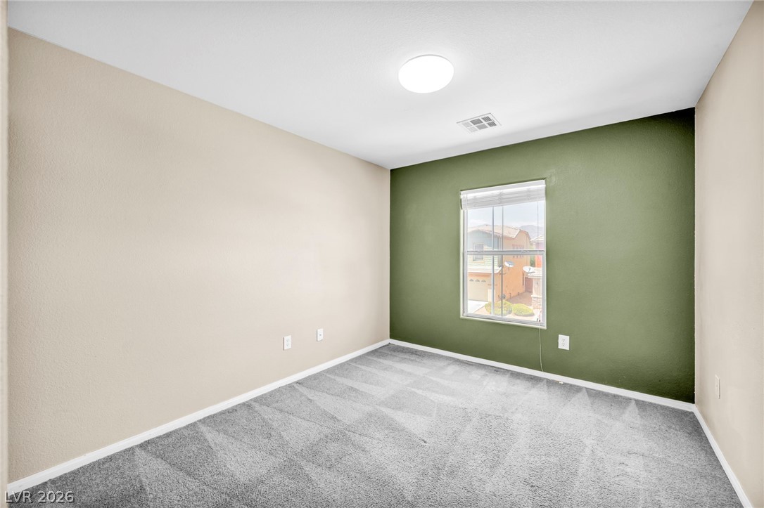 313 Snow Dome Avenue Property Photo 21