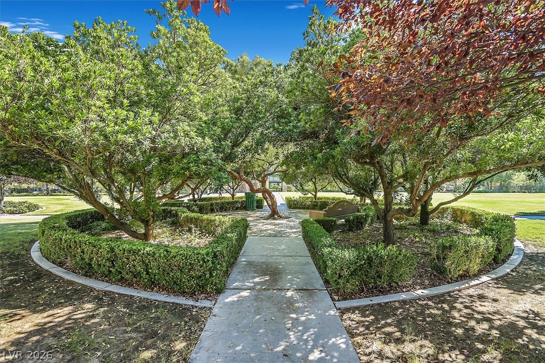 10971 Carberry Hill Street Property Photo 26