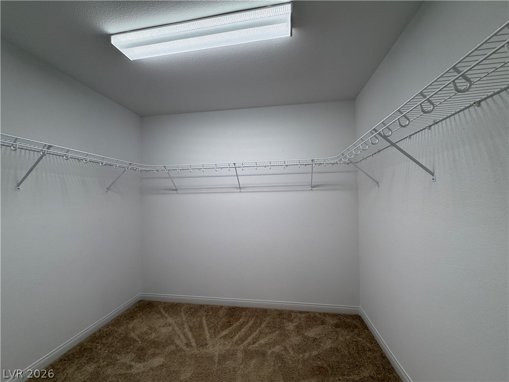 7869 Tyrell Peaks Street Property Photo 19