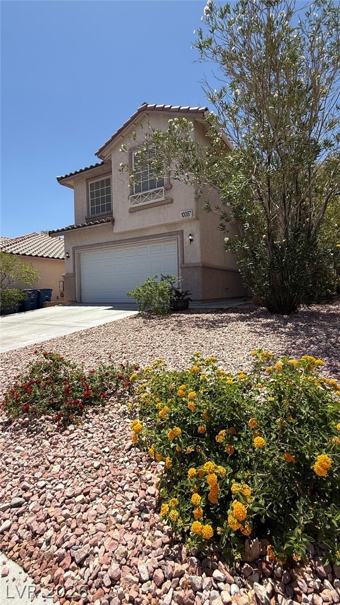 10087 Yellow Canary Avenue Property Photo 4