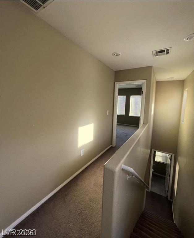 10629 Yarrow Root Court Property Photo 14