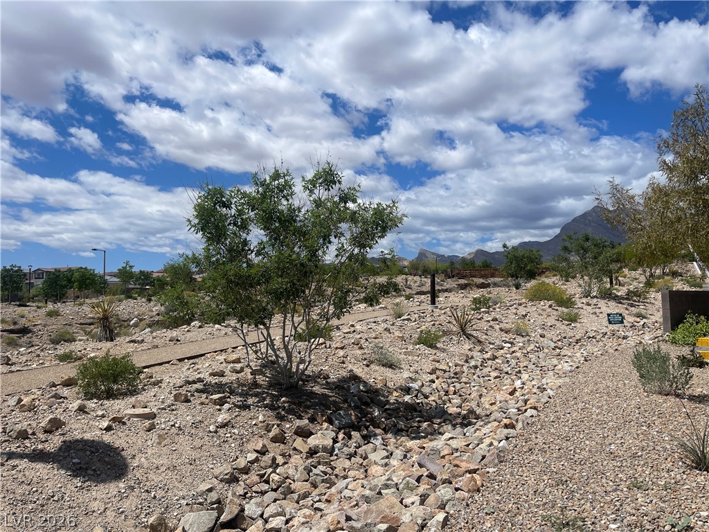 11593 Cedar Shore Avenue Property Photo 11