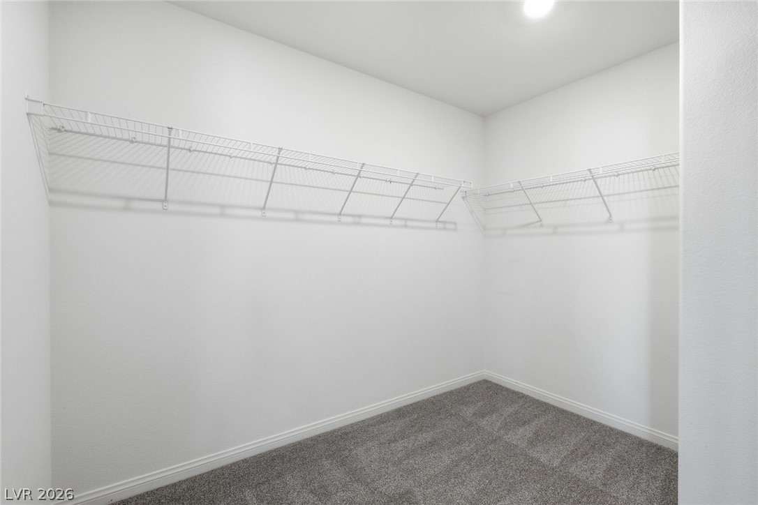 3641 Portici Lane Property Photo 22