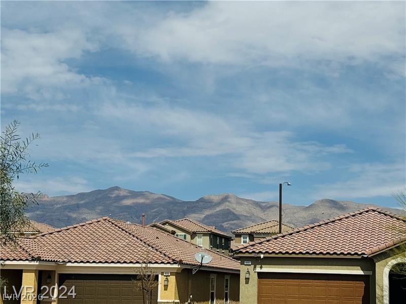 1003 Brilliant Meadow Avenue Property Photo 31