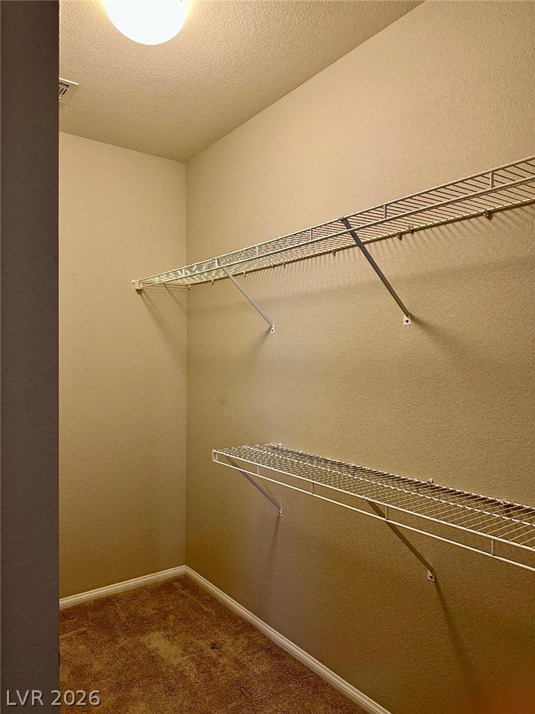 2878 Starling Summit Street Property Photo 13
