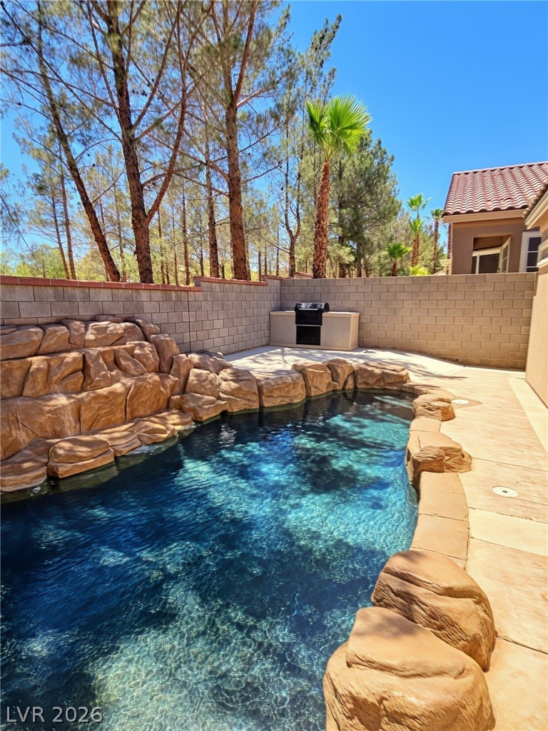 10109 Snow Crest Place Property Photo 4