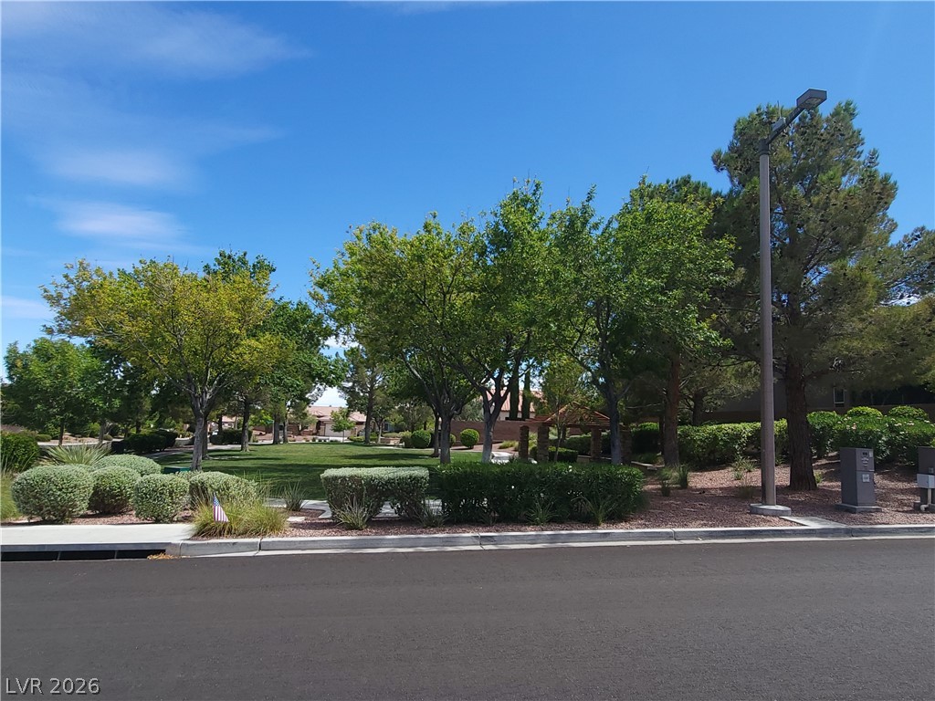 11341 Via Spiga Drive Property Photo 58