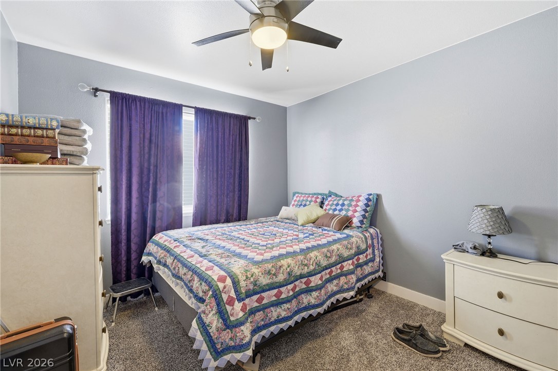 5029 Sunrise Falls Court Property Photo 29