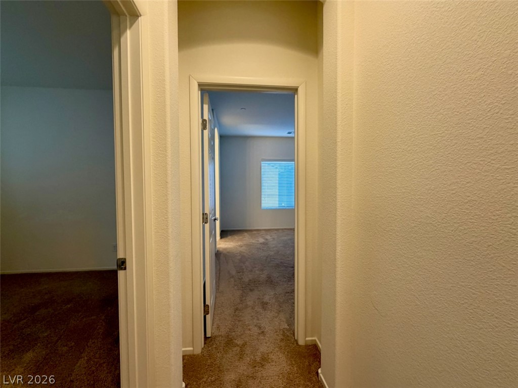 1141 Bobby Basin Avenue Property Photo 27