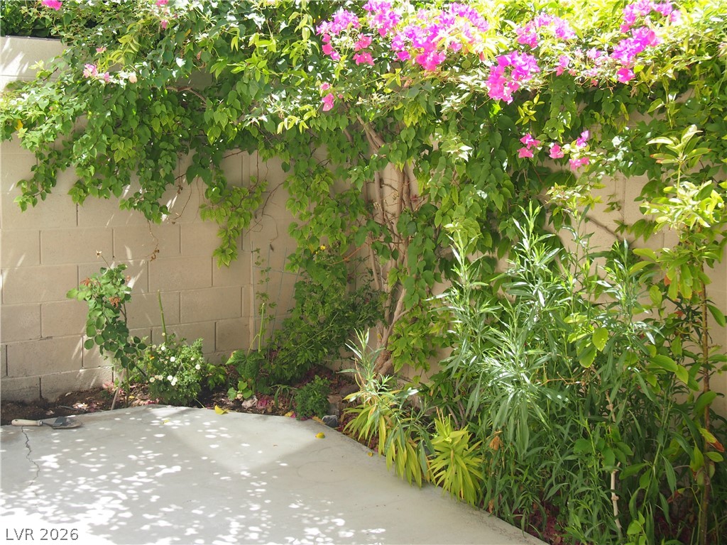 7724 Bauble Avenue Property Photo 18