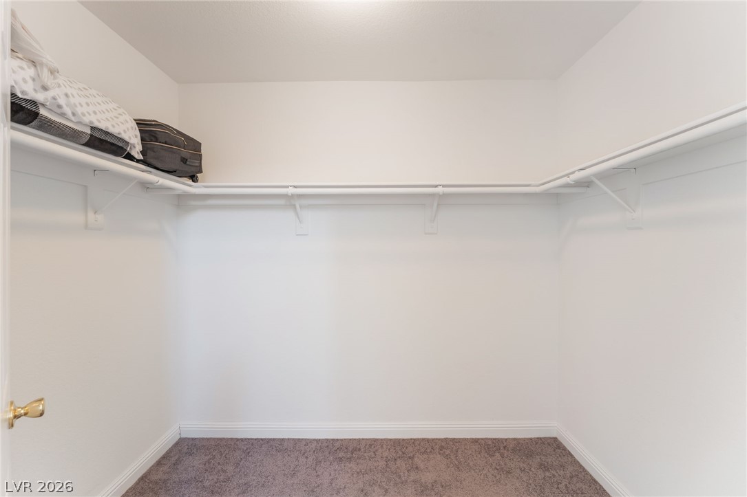 1317 Blue View Court Property Photo 22
