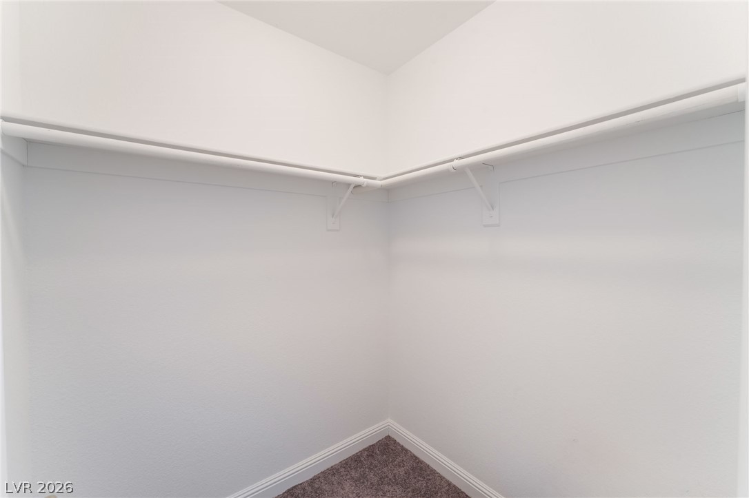 1317 Blue View Court Property Photo 29