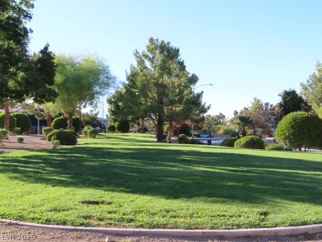 1623 Cave Spring Drive Property Photo 18