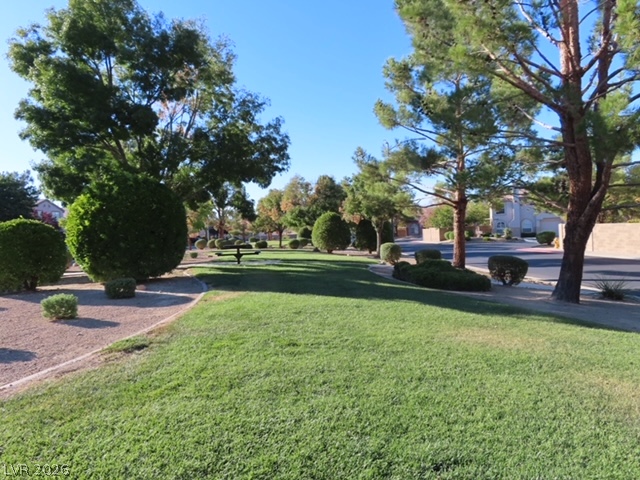 1623 Cave Spring Drive Property Photo 20