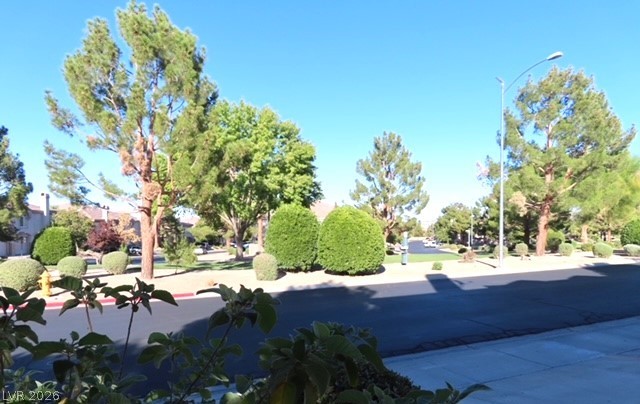 1623 Cave Spring Drive Property Photo 26