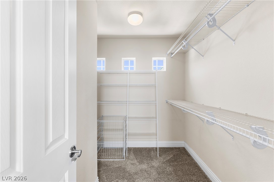 1348 Cedar Berry Court Property Photo 33
