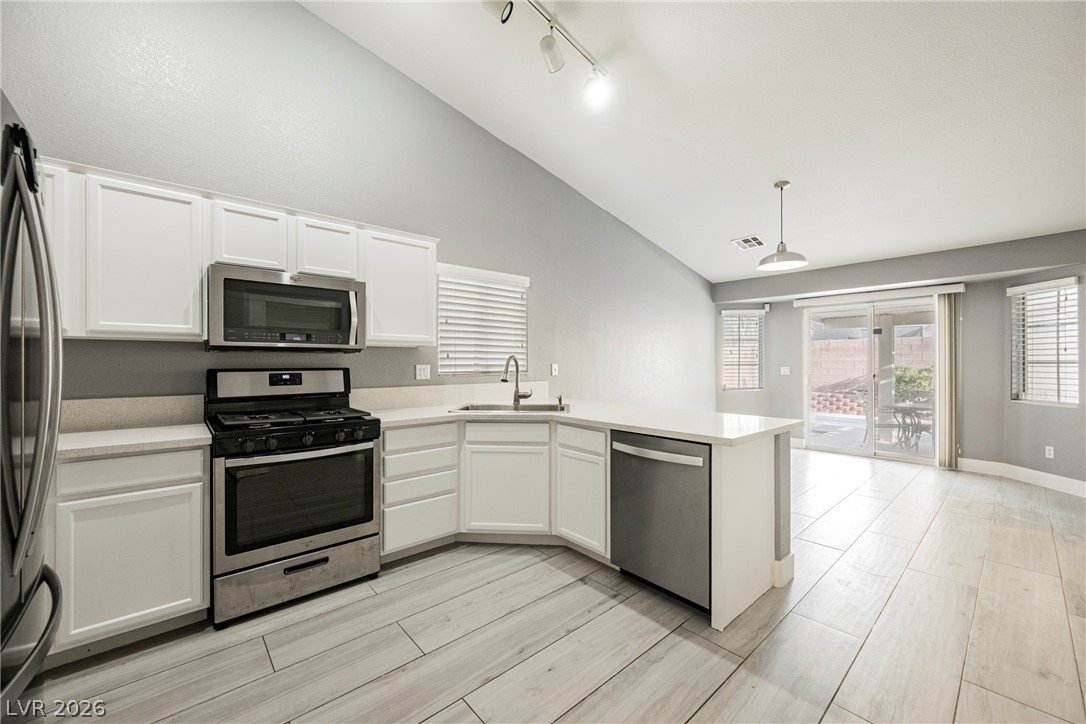6067 Turtle River Avenue Property Photo 5