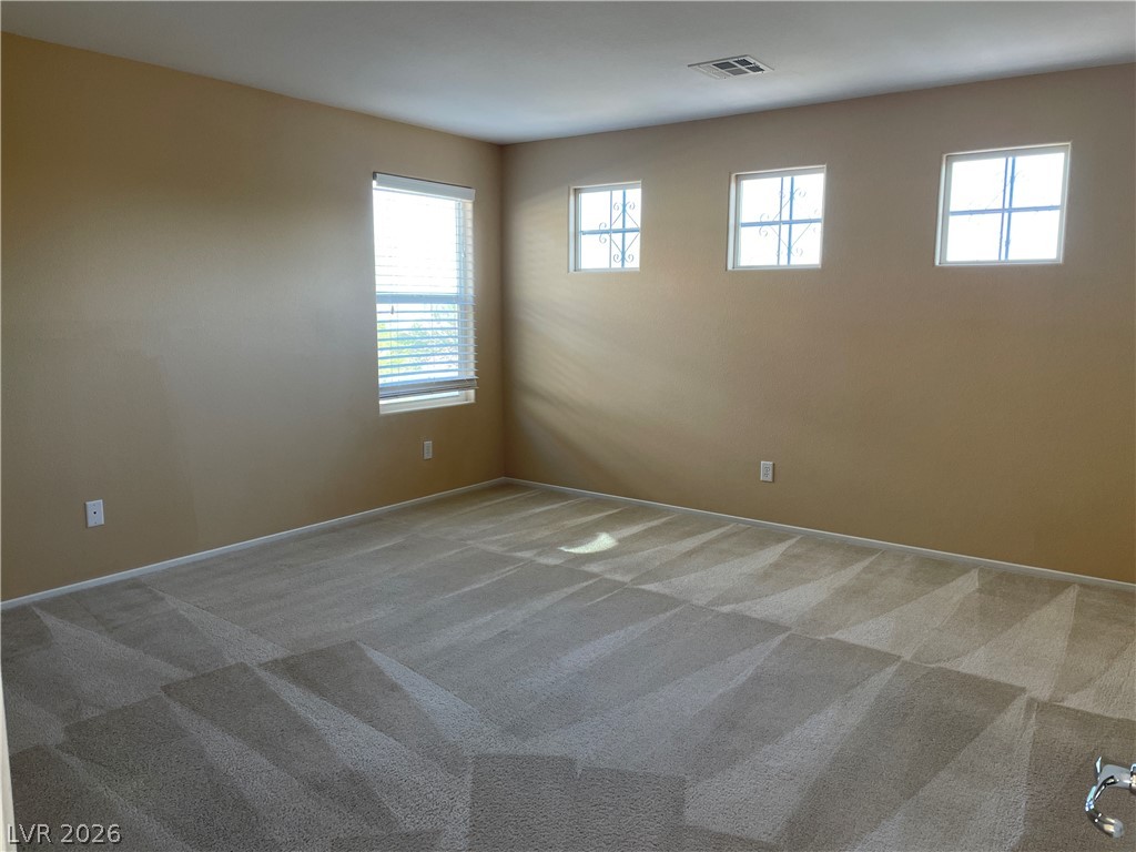 8620 Rowland Bluff Avenue Property Photo 28