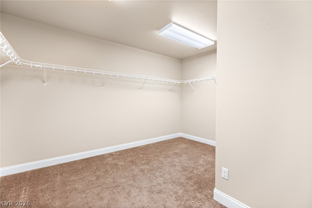8312 Langhorne Creek Street Property Photo 23