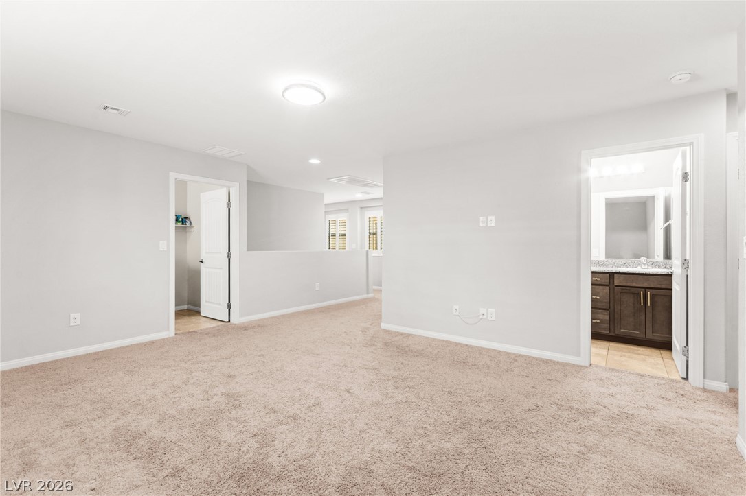 9225 Black Diamond Street Property Photo 27