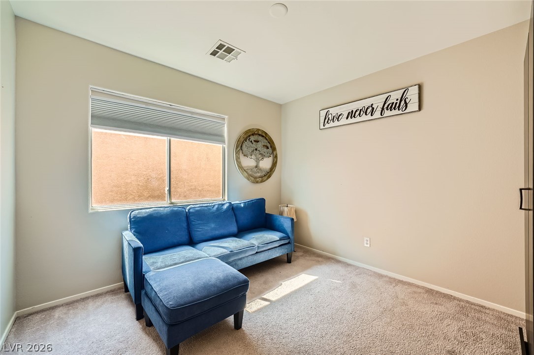 5593 Gold Mint Lane Property Photo 41